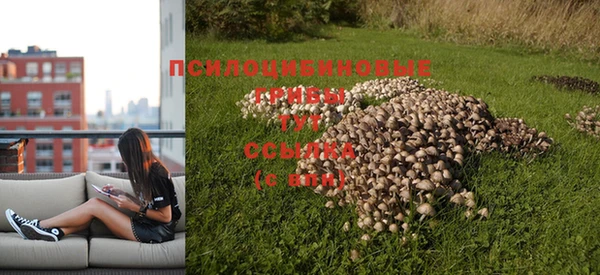 дурь Алексин