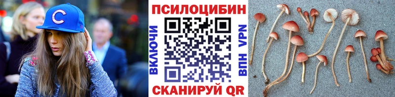 Псилоцибиновые грибы Psilocybine cubensis  Цимлянск 